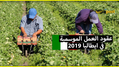 عقود العمل الموسمية في ايطاليا 2019 .. هذا كل ما يجب أن تعرفه عن هذا الموضوع 3 عقود العمل الموسمية في ايطاليا 2019 .. هذا كل ما يجب أن تعرفه عن هذا الموضوع