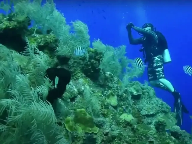 بونتا فرانسيس | جزيرة الشباب | Punta Francés | Isla de la Juventud