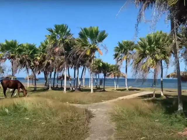 أجمل شواطئ كوبا | جولة بين 10 مناطق ساحرة على سواحل كوبا 7 شاطئ لوس بينوس | Los Pinos